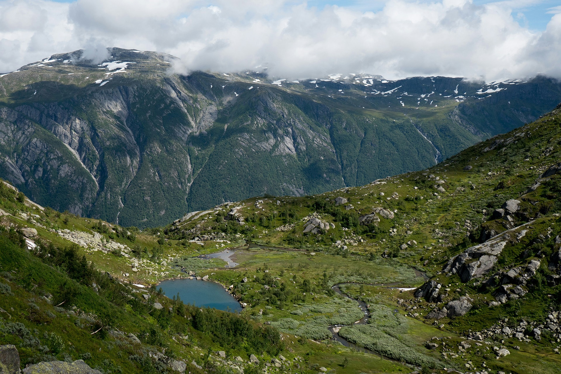 Vakker naturscene