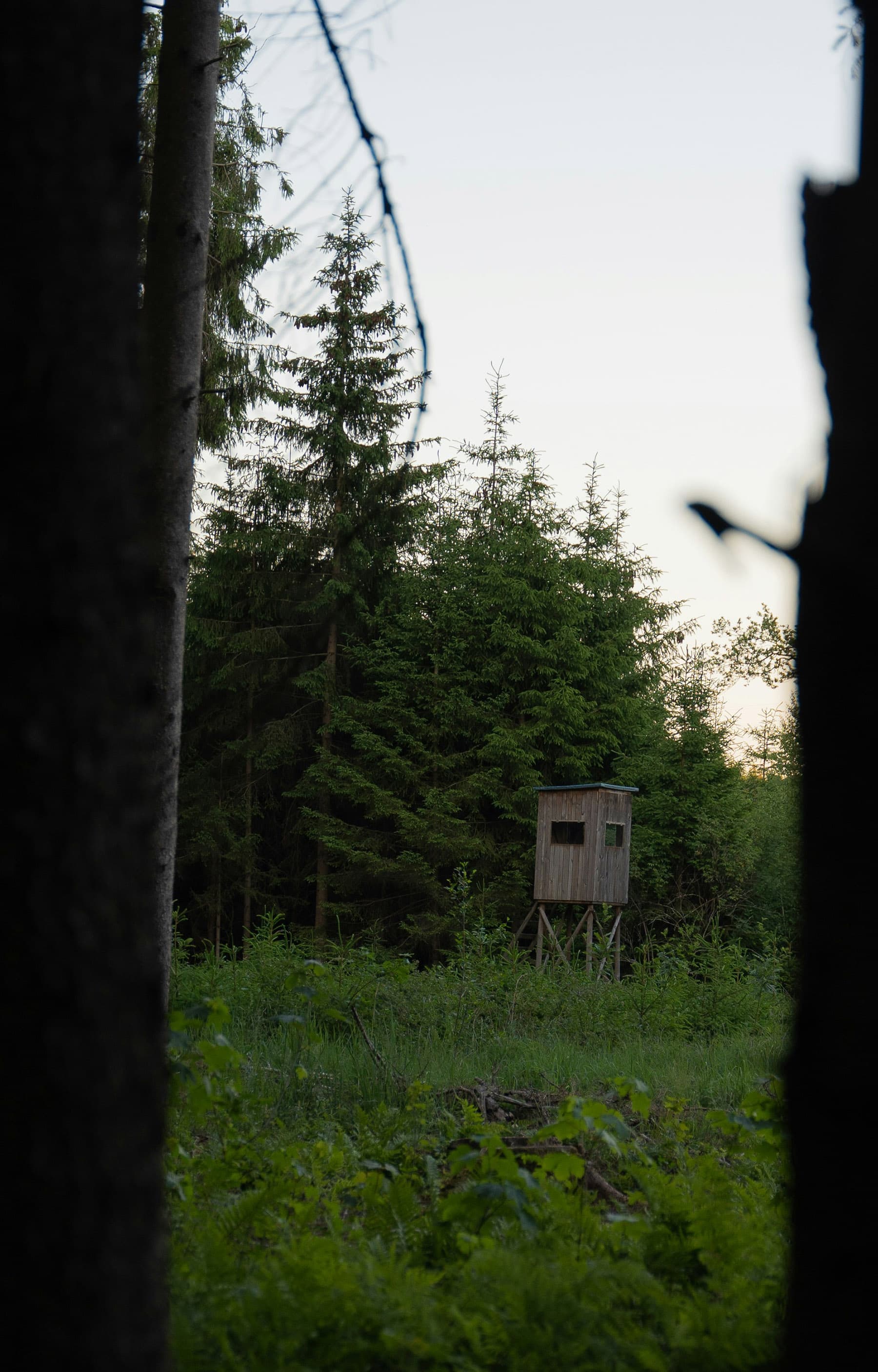 Hunter in nature