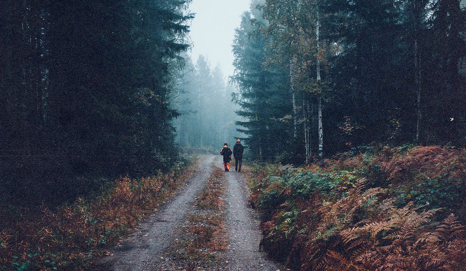 Jaktområde i skogen