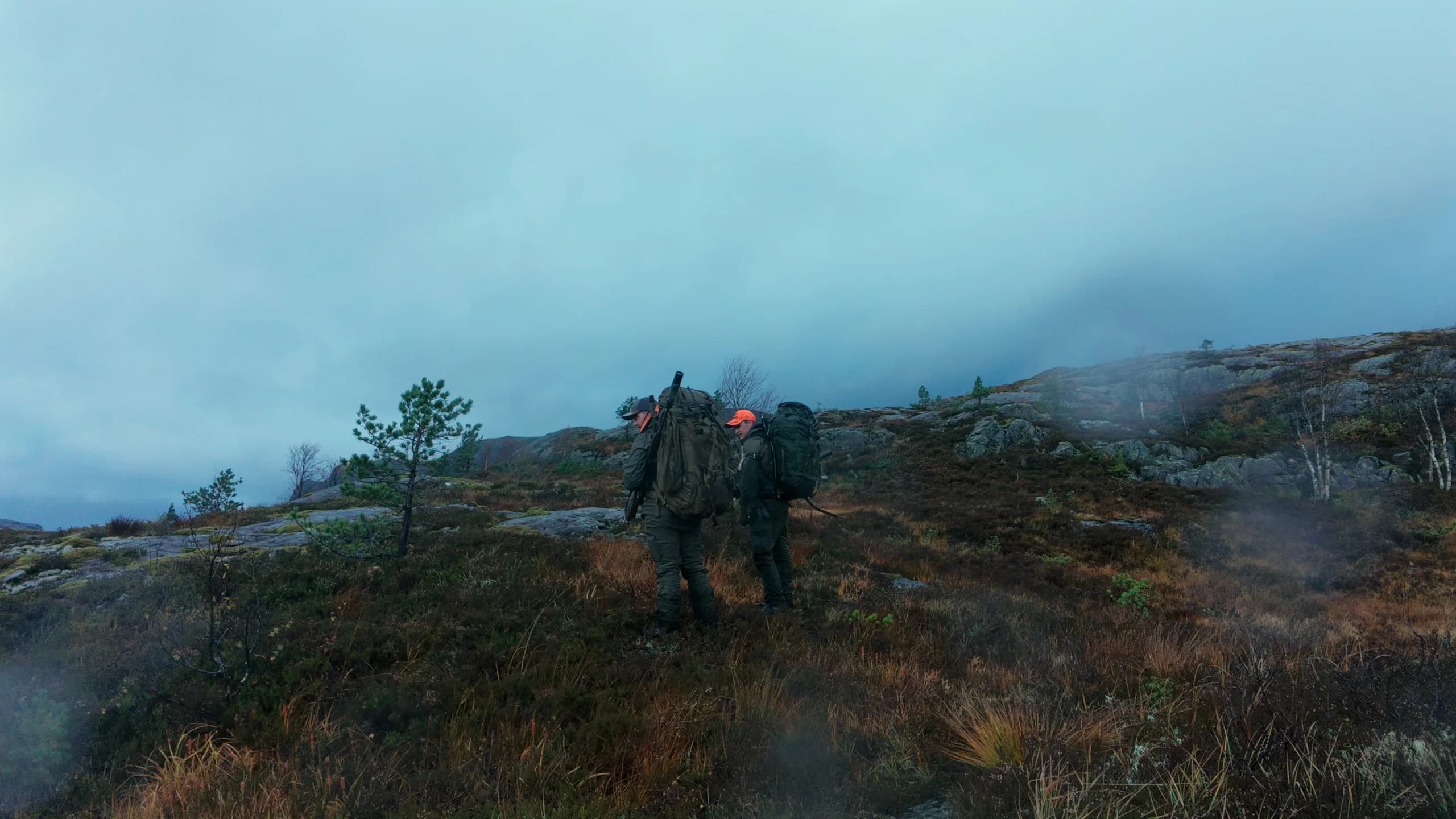 Jaktområde i skogen