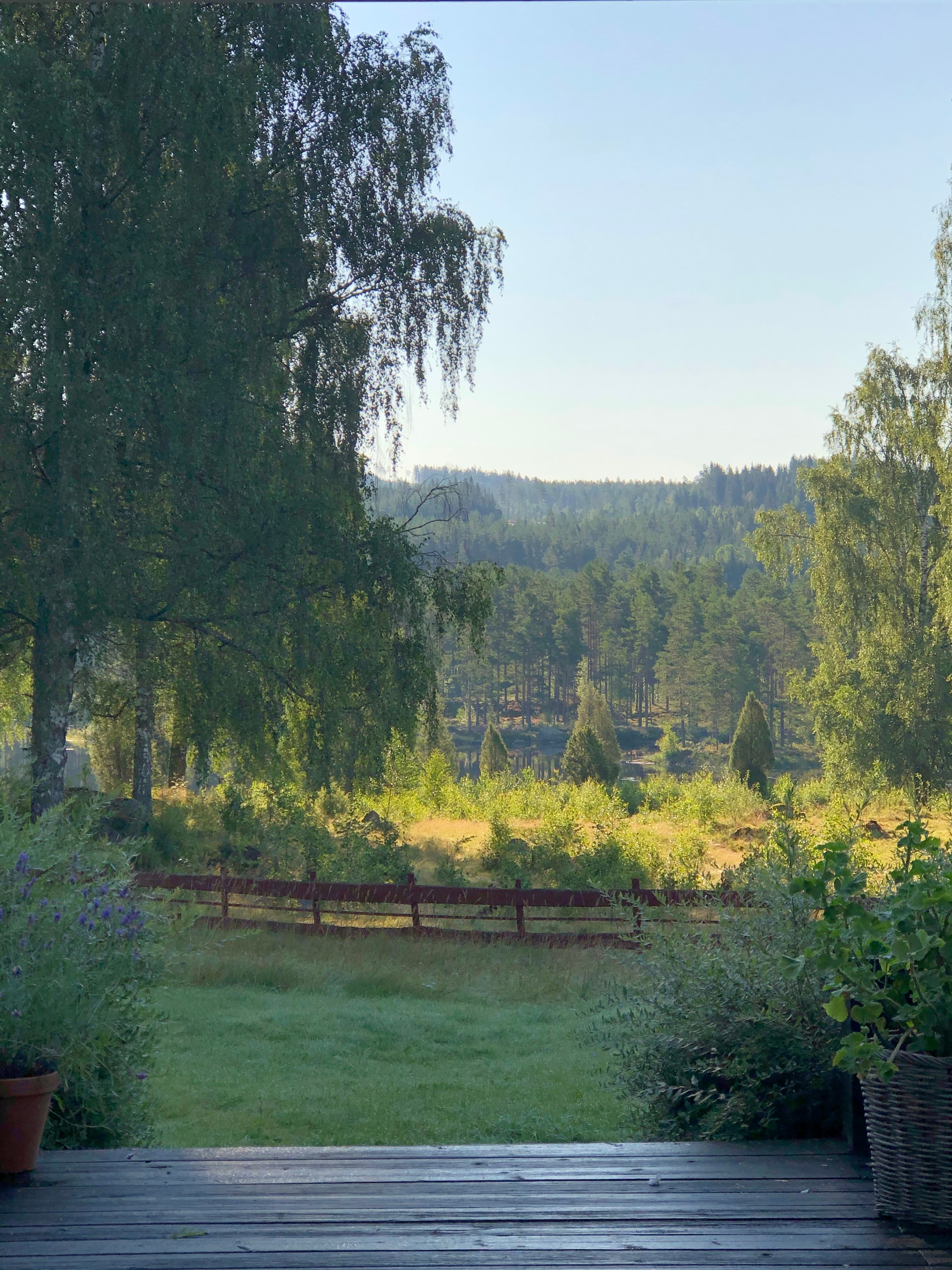 Eksotisk jakt på Finnskogen
